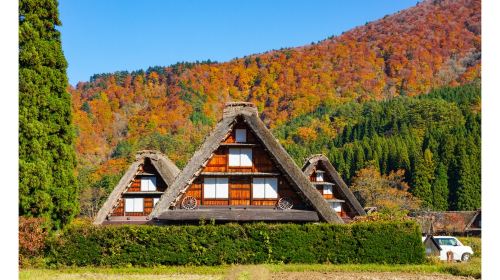 World Heritage Day Tour – Explore Shirakawa-go and Gokayama Thatched Villages with Nohi Bus
