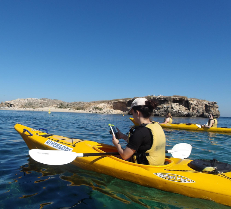 From Perth: Rockingham Seal & Penguin Islands Sea Kayak Tour