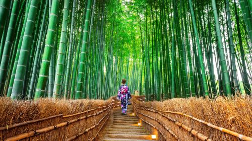 Kyoto Arashiyama 1-day Tour – Sagano Scenic Railway, Bamboo Forest Path