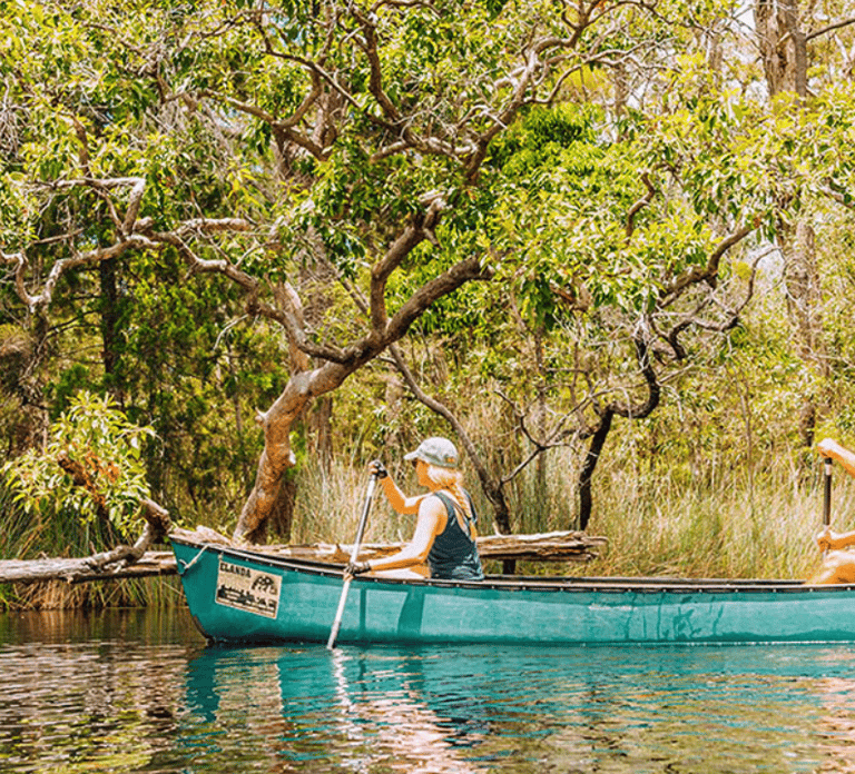 Noosa: Everglades Explorer Cruise
