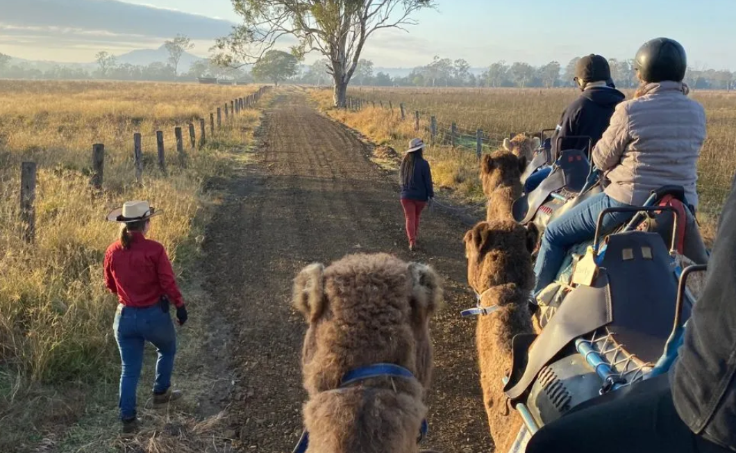 Summer Land Camel Trail Ride - 40 Minutes