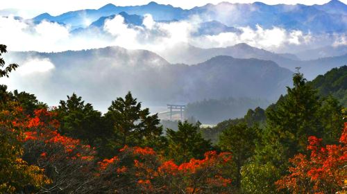 1-day tour from Osaka to world heritage Kumano-Kodo Nakahechi pilgrimage route
