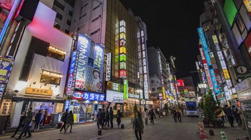 Tokyo full-day tour with private driver and local guide