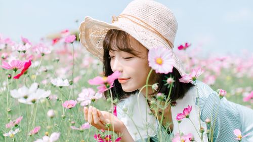 Japan Kagoshima Travel Photography