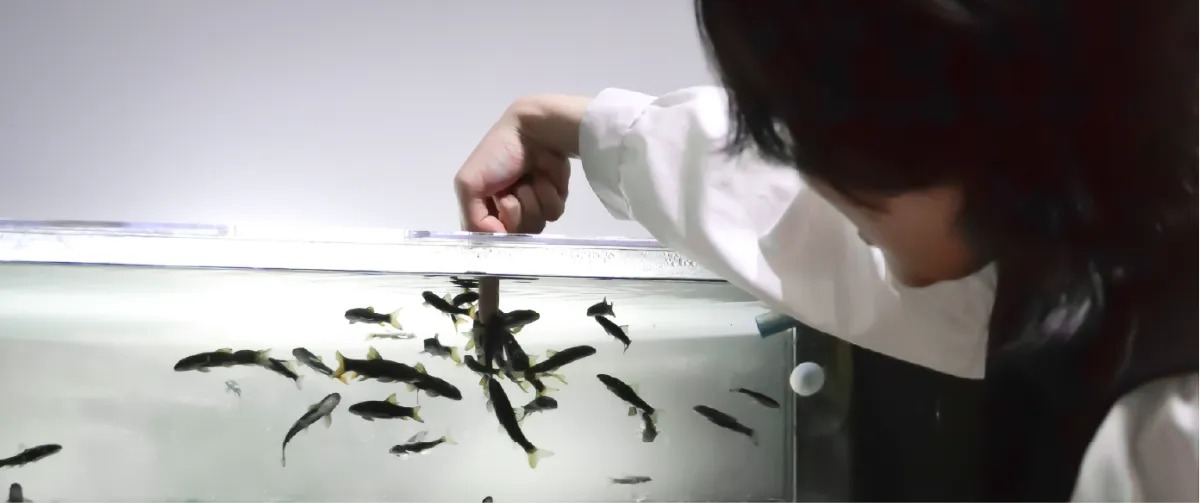 Kawasui Kawasaki Aquarium