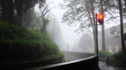 Alishan National Scenic Area Day Tour from Taichung Day Tours