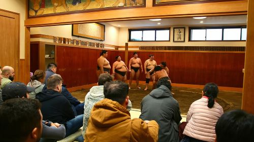 Tokyo Sumo Morning Practice: Viewing & Exclusive Interaction Day Tours