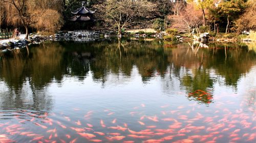 Hangzhou West Lake, Leifeng Pagoda, and Flower Harbor Fishing Day Tour (Chinese-language group tour)