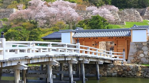 Tokyo Imperial Palace East Gardens Private Guided Tour