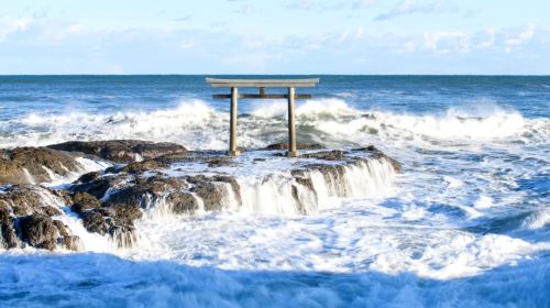 Ibaraki flower fields + Oarai sea torii + seafood market + seaside park 1-day tour: Depart from Tokyo
