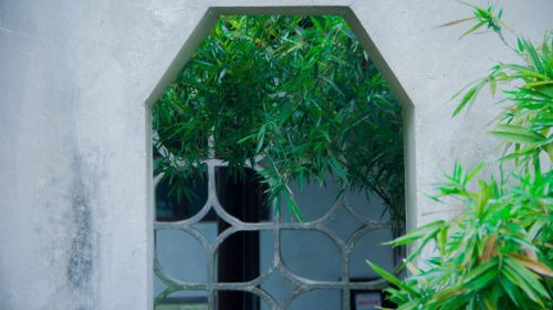 Suzhou City Highlights Day Tour – Humble Administrator's Garden, Tiger Hill