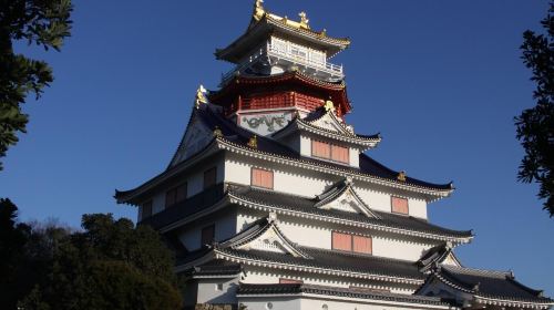 Tour Image 4
