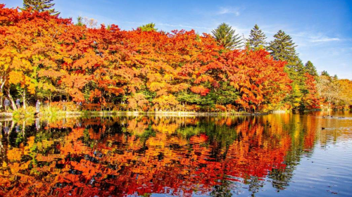 Private Charter Day Tour: Karuizawa Stone Church, Shiraito Waterfall & Kumoba Pond from Tokyo