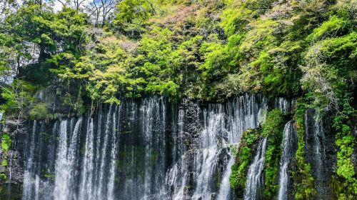 Mount Fuji: Guided Day Tour from Tokyo Day Tours