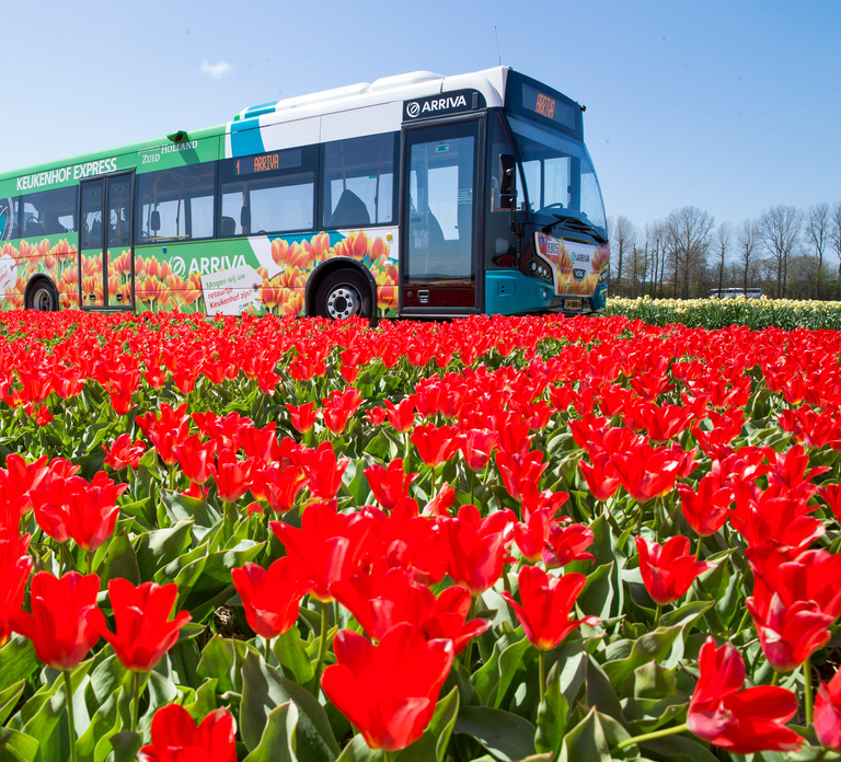 Amsterdam: Amsterdam & Region Travel Ticket for 1-3 Days