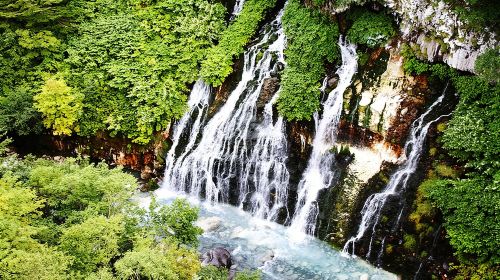 [Biei/Furano] One-day sightseeing by private car! Day Tours
