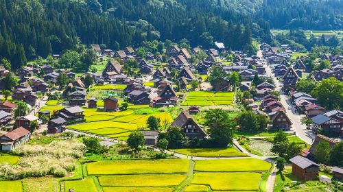 World Heritage Day Tour – Explore Shirakawa-go and Gokayama Thatched Villages with Nohi Bus
