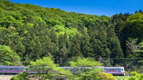 [Official Ticket] Keio Line One-Day Pass (Mount Takao/Tokyo Amusement Park: YOMIURILAND Train Ticket + Tokyo Amusement Park: YOMIURILAND Admission Ticket Multiple Packages Optional) Transport Passes