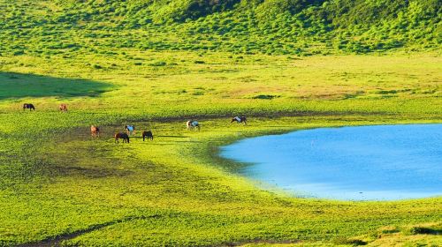 Kumamoto Castle Day Tours