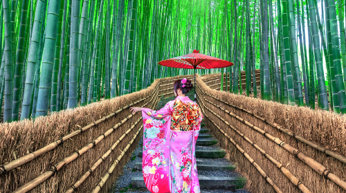 Small group of 9: Kyoto Arashiyama + Kifune Shrine + Sanzen-in 1-day tour with optional Sagano Scenic Railway