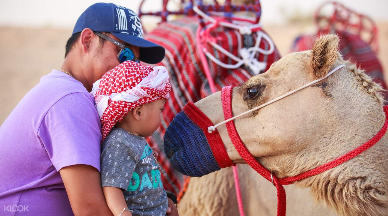 Camel Desert Safari by Platinum Heritage