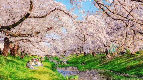 One-Day Fuji Mountain Hot Spring Tour Day Tours
