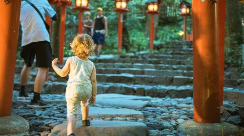 Kyoto Kifune Shrine + Arashiyama + Sanzen-in 9-person premium small group, fall foliage viewing