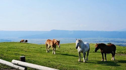 Japan Kyushu Hidden Gems – Aso Volcano with Free Shuttle, Kusasenri