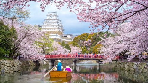Japan's top three night views - wake up naturally - Kobe Mount Maya Kosei Observatory & Himeji Castle day tour Day Tours