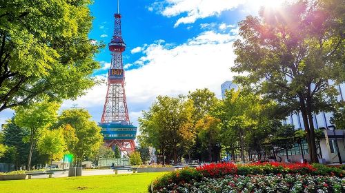 Sapporo 4hr Private Tour with Government Licensed Guide Day Tours