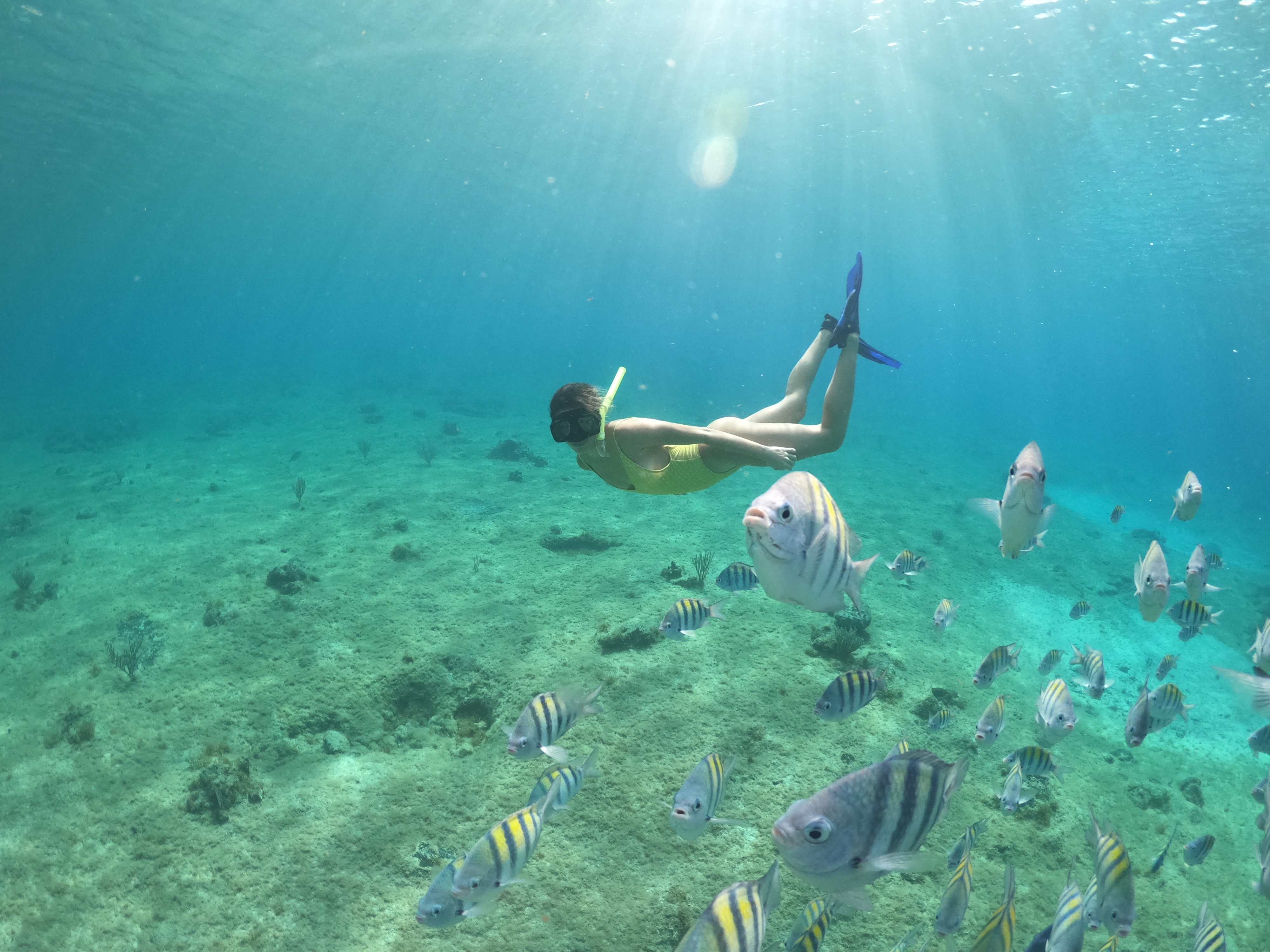 Clear Boat & Snorkel Tour in Cozumel