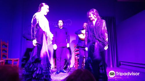Palosanto Tablao Flamenco
