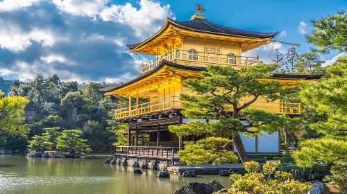 Kinkaku-ji + Arashiyama + Nijō Castle + Fushimi Inari Taisha Kyoto in-depth niche one-day tour Day Tours