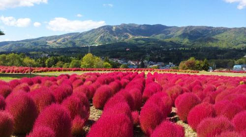 Hirugano plateau