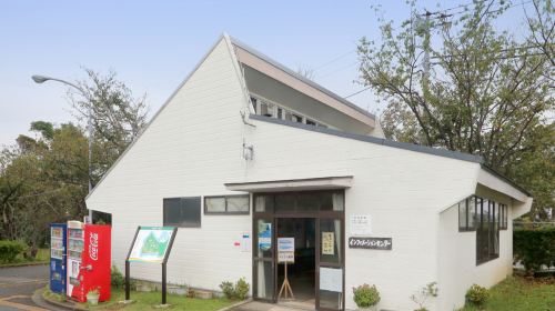 Healing Walk Workshop Experience at Minamiboso City Tourist Information Center