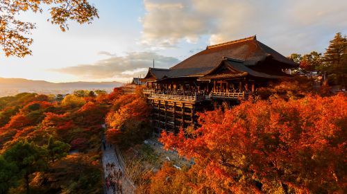 Kyoto Ancient Capital Cultural Tour – A Day Trip to Kyoto's Ancient Temples and Fushimi Inari Shrine