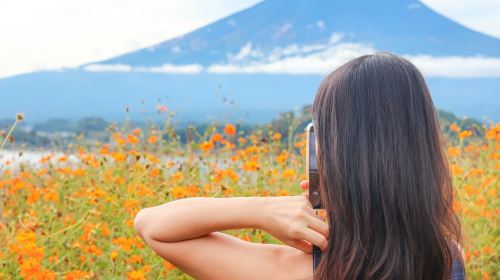 Mount Fuji: Guided Day Tour from Tokyo Day Tours