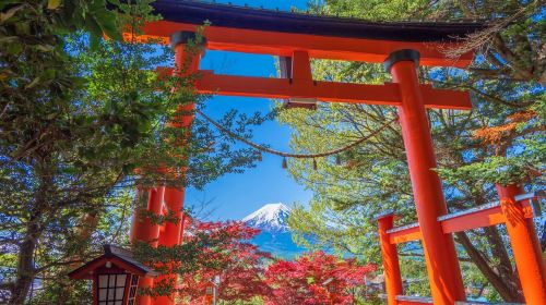 Mount Fuji Day Trip from Tokyo: Instagram-Famous Spot Hopping | Arakurayama Sengen Park&Hikawa Clock Shop&Oshino Hakkai&Kawaguchiko Lawson&Lake Kawaguchi Oishi Park Day Tours