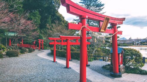 1-day tour to Beppu, Yufuin Onsen, Kinrinko Lake, Kyushu Wildlife Park African Safari and Umi Jigoku