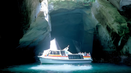 Private chartered tour in Tokyo and West Izu to Shuzenji + Toi Gold Mine + Koganezaki + Tensodo Cave. Customizable itinerary. Day Tours