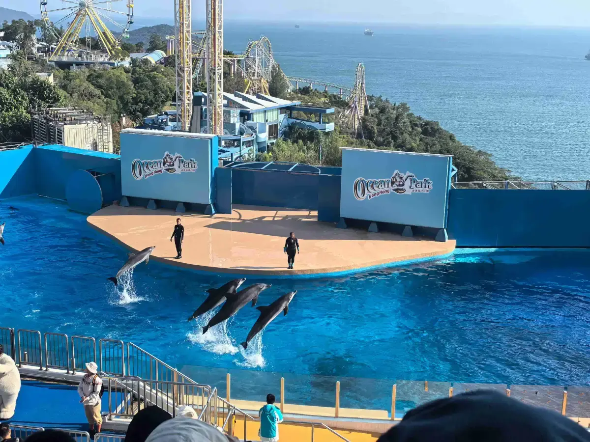 HongKong Ocean Park Summer Special Sale Ticket
