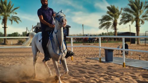 Hot Air Balloon Ride in Dubai with Sunrise Views & Hotel Transfers Day Tours