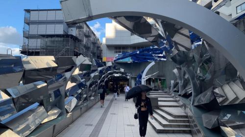 Vegetarian Best of Shibuya Food Tour Day Tours