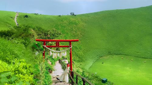 Izu Day Tour from Tokyo: Mount Omuro Ropeway & Shaboten Zoo with Ocean-View Train
