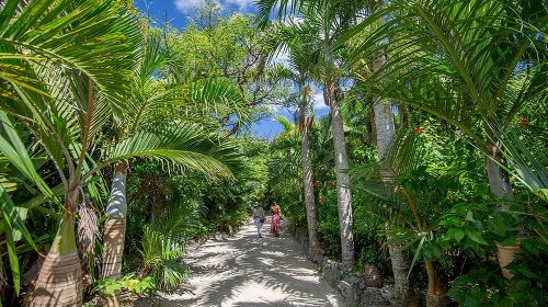 Okinawa Iriomote SUP or Canoe and Sightseeing in Yubujima Island