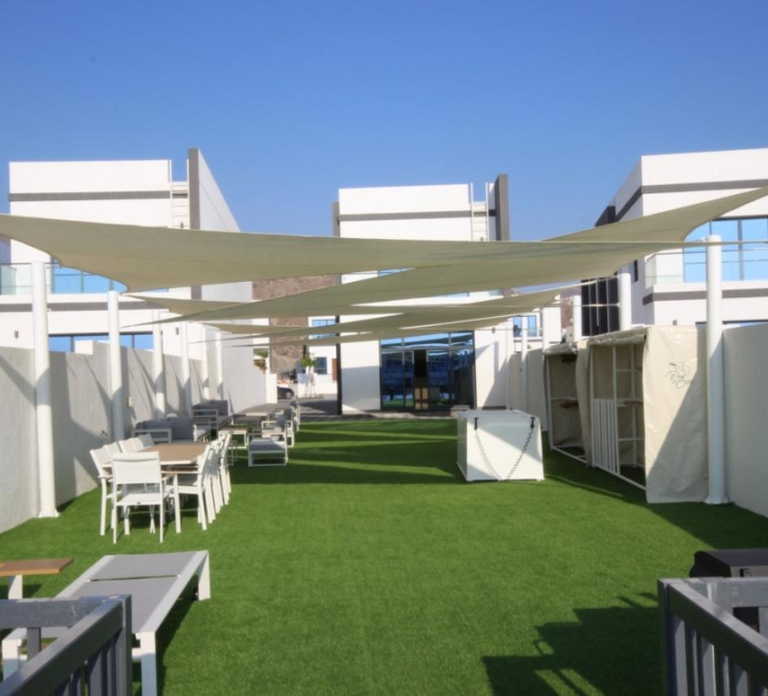 From Abu Dhabi: 2 Dives for Certified Divers with transfer