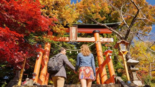 Japan Tokyo Mt. Fuji Lake Kawaguchi & Yamanakako & Lawson/Hikkawa one-day tour