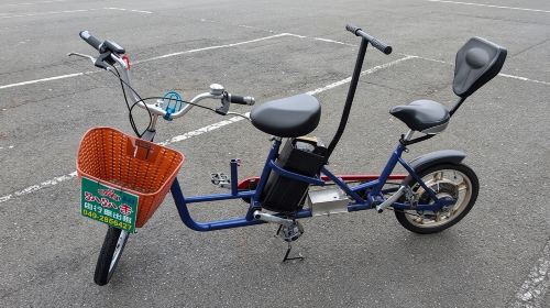 Sun Moon Lake Bike & E-vehicle Rentals with Optional Boat Ticket