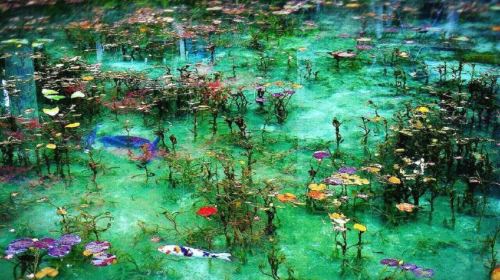 Monet's Pond (Japan) – Mino Historic Street – Tanokami Shrine – Mama Kannon Temple