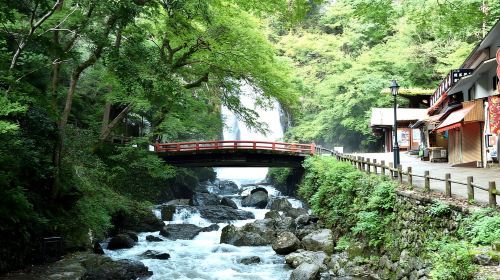 Osaka: Minoh, Katsuoji Temple, & Minoh Falls Full-day Tour Day Tours